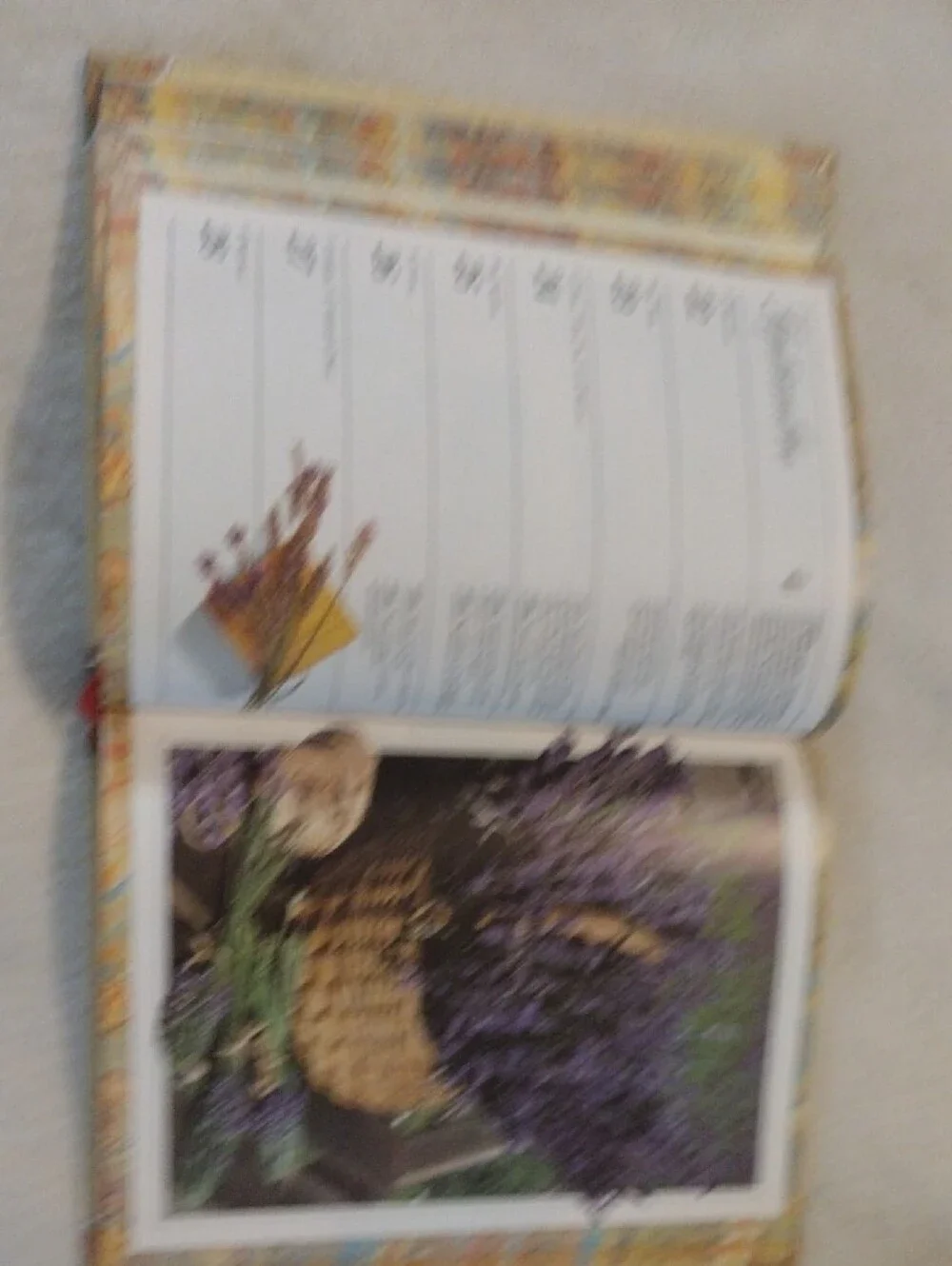 New Unused Celebraciones Floral Cover Hardcover Dates Organizer in Spanish